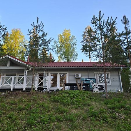 Valentin Cottage Enonkoski Екстер'єр фото