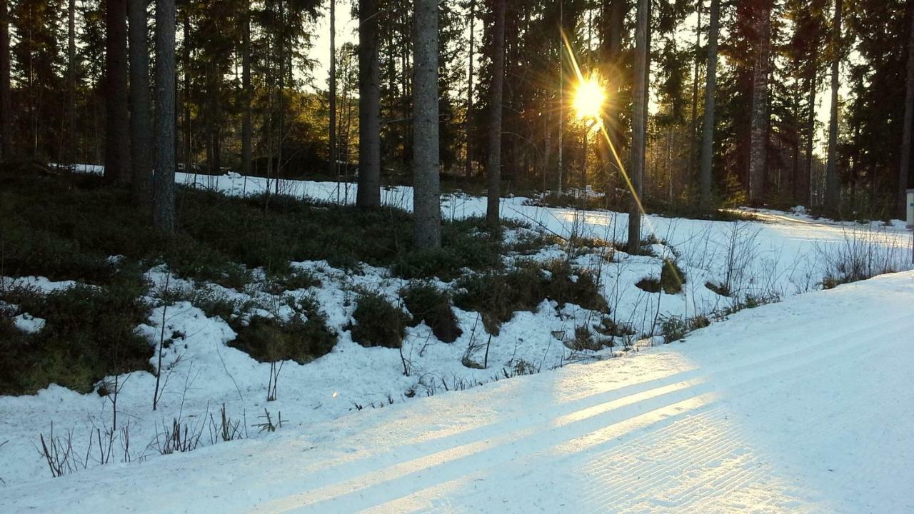 Valentin Cottage Enonkoski Екстер'єр фото