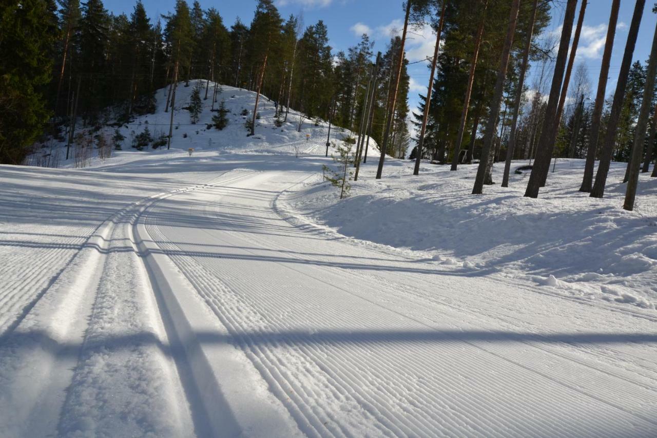 Valentin Cottage Enonkoski Екстер'єр фото